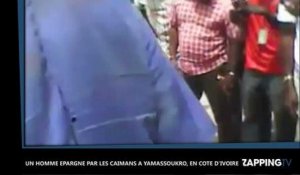 Epargné par les caïmans de Yamoussoukro, il manque sa tentative de suicide (vidéo)