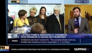 Pamela Anderson provoque une émeute à l'Assemblée nationale (vidéo)