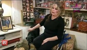 Brigitte Bardot s'indigne contre l'abattage de 2 millions de chats : "C'est une honte !"