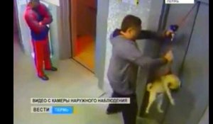 Il sauve de la mort un chien piégé par un ascenseur !