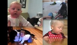 Les meilleures vidéos de bébés !