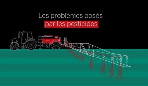 Comprendre les problèmes posés par les pesticides en 5 minutes