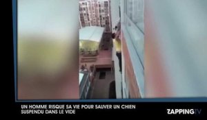 Un homme sauve un chien suspendu dans le vide en escaladant un immeuble (Vidéo)
