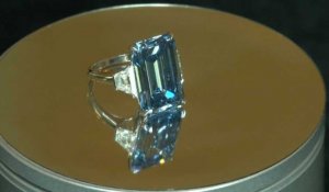 Le diamant bleu Oppenheimer est la pierre taillée la plus chère du monde