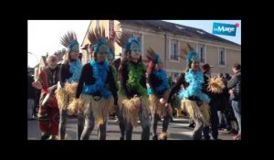 Lemainelibre.fr : 10 ans de carnaval à La Flèche