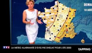 Canicule 2015 : La météo alarmante d'Evelyne Dhéliat 