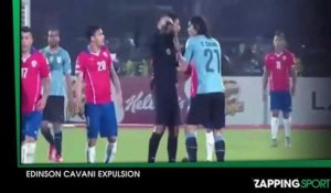 Edinson Cavani : le doigt de trop ! ( Vidéo)