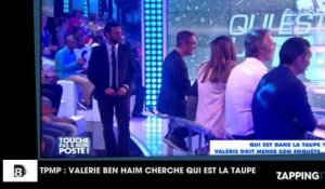 TPMP : Qui est la taupe qui a attaqué Valérie Bénaïm ?