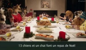 13 chiens et un chat font un repas de Noël comme des humains !