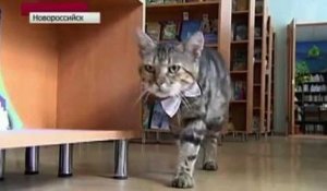 Ce chat est officiellement bibliothécaire en Russie !