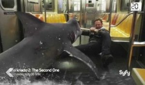 "Sharknado 2" : ridicule accrochage avec un requin dans un premier extrait !