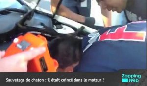 Vidéo choc : une mère essaie de tuer ses enfants dans la mer !