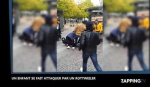 Un rottweiler attaque et mord un enfant en pleine rue !