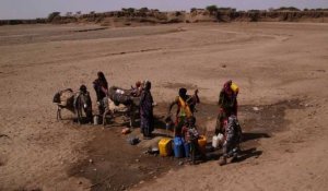 L'Ethiopie fait face à sa pire sécheresse en 50 ans