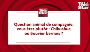 Alex Hugo : l'interview de Samuel Le Bihan et Lionnel Astier