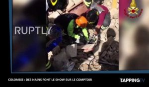 Un chat sorti des décombres quinze jours après le séisme d'Italie (Vidéo)