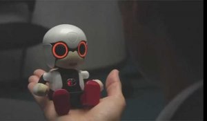 Toyota lance un mini robot androïde