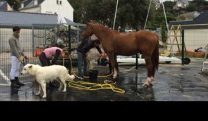 Parcours sans faute pour le Jumping