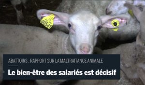 " Du salarié au responsable de l'abattoir, il y a un intérêt commun à ce que le bien être animal soit respecté"