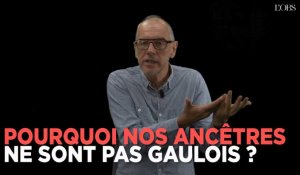 Les Gaulois : Idéfix de Sarkozy