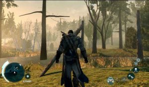 Assassin's Creed III - Plume de Diamond Basin n°4