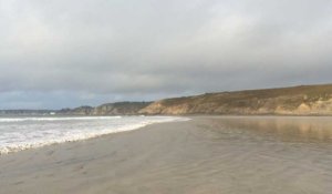 Les stocks de tellines de la plage de l'Aber évalués