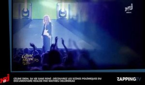 Le documentaire inédit de Matthieu Delormeau sur Céline Dion fait scandale (Vidéo)