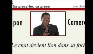 Un proverbe, un prono : Japon-Cameroun