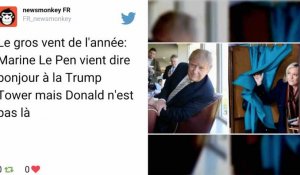 Marine Le Pen s'affiche à la Trump Tower... sans rencontrer Trump
