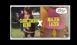 Major Lazer's Bubble Butt Sexy Bear !