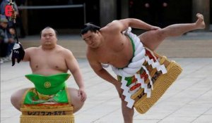 Sumo: les meilleurs lutteurs du Japon célèbrent la nouvelle année