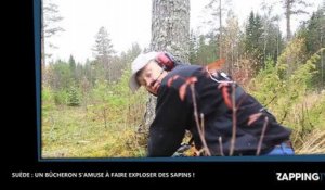 Suède : Un bûcheron s'amuse à exploser des sapins de Noël, les images insolites (Vidéo)