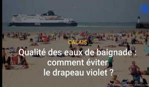 Qualité des eaux de baignade à Calais : comment éviter le drapeau violet ?