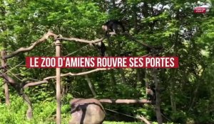 Le zoo d’Amiens rouvre ses portes