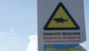 En Nouvelle-Calédonie, la psychose du requin s'installe