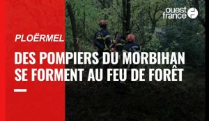 VIDÉO. Ploërmel : des pompiers du Morbihan se forment aux feux de forêts