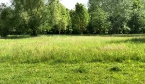 Le duel des parcs dans l’Est Aubois: le parc de la Gravière à Bar-sur-Aube