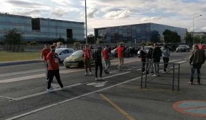 VIDEO. Ligue 1: les supporters de Lille sont venus jusqu'à Angers pour soutenir le Losc