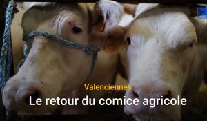 Le retour du comice agricole de Valenciennes