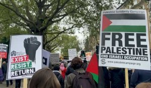 Mobilisation pro-palestinienne à travers le monde