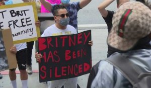 "Libérez Britney": des fans de la pop star réclament la fin de sa tutelle