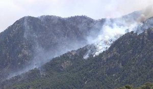 Premiers grands incendie de l'année en Grèce, des habitants évacués