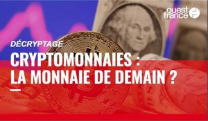 VIDÉO. Décryptage. Les cryptomonnaies seront-elles les monnaies de demain ?