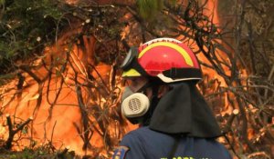 Grèce: les pompiers bataillent contre un incendie préoccupant sur l'île d'Eubée