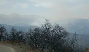 Algérie: des incendies font rage en Kabylie