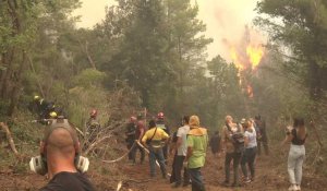 En Grèce, "corps à corps" pour arrêter la course folle de l'incendie d'Eubée