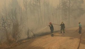 En Grèce, les pompiers tentent d'arrêter la course folle de l'incendie d'Eubée