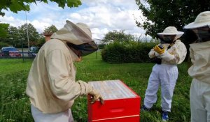 Béthune : des abeilles installées sur le site de RTE
