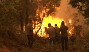 Grèce: les pompiers livrent leur 7e jour de bataille contre le brasier de l'île d'Eubée