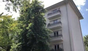 Annecy : des cafards ont élu domicile dans un immeuble HLM depuis plusieurs mois